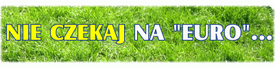 Promocja wiosenna 2012